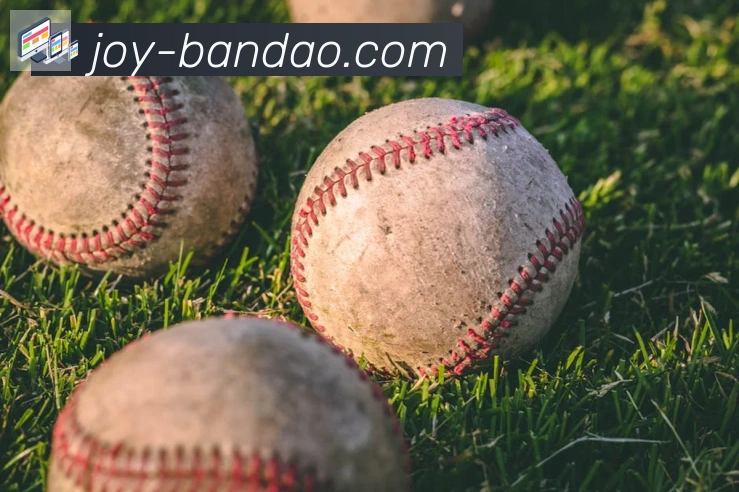 半岛体育app平台生态图